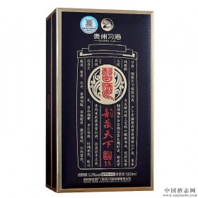 (x)퍲³15T53u500ml