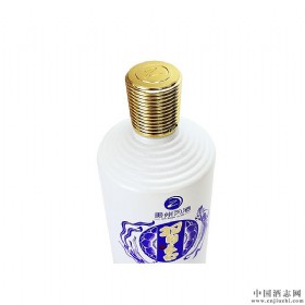 (x)(x)_{53u500ml