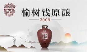 ԭ2009